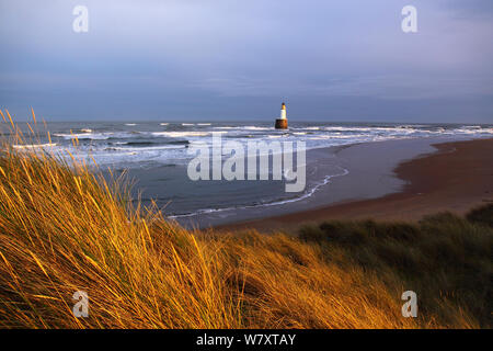 Avis de Rattray Head à travers dunes de sable, au nord-est de l'Écosse, janvier 2014. Tous les non-usages de rédaction doivent être effacés individuellement. Banque D'Images