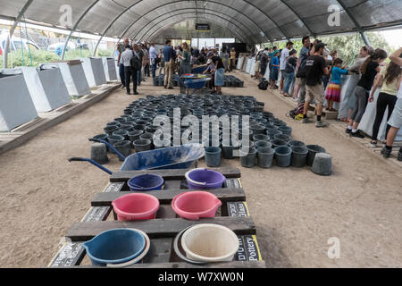 Jérusalem, Israël. 7 Août, 2019. Les visiteurs obtiennent l'expérience de première main à l'Emek Tzurim Mont du Temple Projet tamisage tamisage à travers les débris déterré par le Waqf musulman sur le mont du Temple et d'un dumping dans la vallée du Cédron. Second Temple de nombreux vestiges archéologiques ont été découverts. Les archéologues accusent le Waqf de se livrer à la destruction illégale de vestiges d'édifices juifs et des artefacts dans une tentative délibérée d'effacer liens juif historique au Mont du Temple. Les juifs religieux sont en train d'observer les "Trois Semaines" ou "Ben HaMetzarim', une période de deuil sur la destruction de Banque D'Images