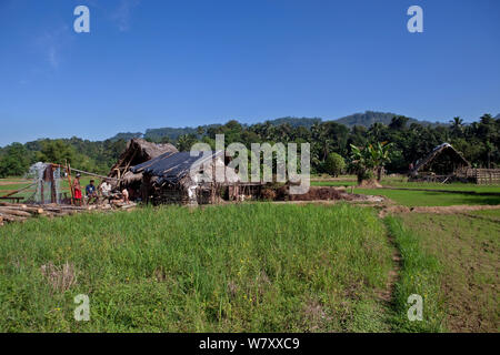 Gemstone mine en paddyfield, Ratnapura, Sri Lanka, décembre 2012. Banque D'Images