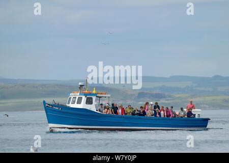 Les touristes sur le bateau en direction de l'Iles Farne de Seahouses Harbour, Iles Farne, Northumberland, Angleterre, juillet. Banque D'Images