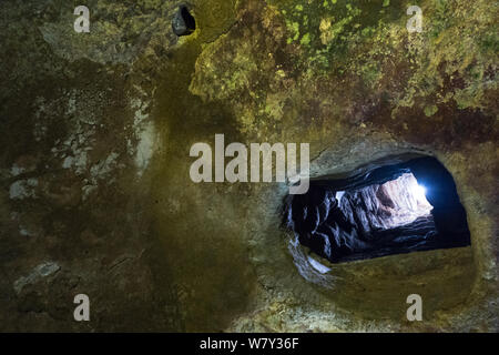 Jérusalem, Israël. 7 Août, 2019. Un tunnel sous le pèlerinage hérodien route relie la ville de David avec ce qu'était le complexe du mont du Temple, le parc archéologique de l'Ophel maintenant à côté du Mur occidental. Il est soupçonné d'avoir été creusé comme un tunnel de drainage ou de refuge pour les résidants de la ville d'attaquer les Romains à l'époque du Second Temple. La ville de David est l'hypothèse d'être le premier noyau urbain de l'ancienne Jérusalem. Les juifs religieux sont en train d'observer les "Trois Semaines" ou "Ben HaMetzarim', une période de deuil sur la destruction du premier et second Temple juif Banque D'Images