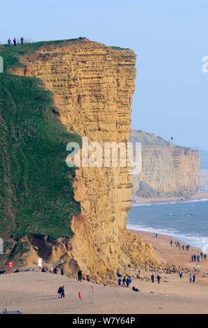 Les touristes sur la plage à East Cliff, West Bay, Dorset, UK. Mars 2014. Banque D'Images