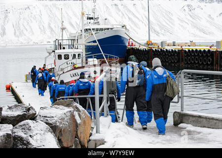 Les touristes à bord de bateaux commerciaux d'observation des baleines, Grundarfjordur, Islande, mars 2014. Banque D'Images