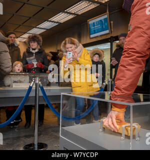 L'affichage des barres d'or à la banque centrale, Reykjavik, Islande Banque D'Images