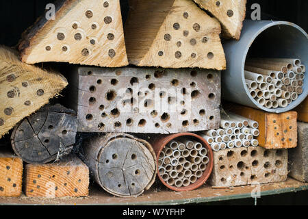 Sites de nidification pour les abeilles solitaires, foré en sciage, Chepstow, Galles, Royaume-Uni Août. Banque D'Images