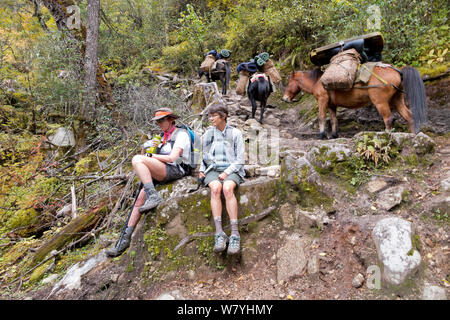 Les randonneurs en faisant une pause comme un pack train passe sur la deuxième journée de l'Jhomolhari Trek. Le Bhoutan, octobre 2014. Parution du modèle. Banque D'Images