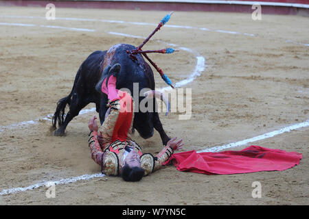 La tauromachie, torero / torero sur le sol après avoir sauté plus de taureau. Plaza de Toros, Valence, Espagne. Juillet 2014. Banque D'Images