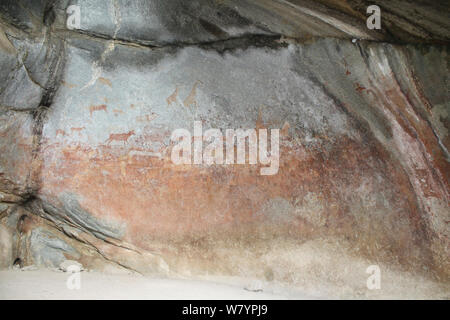 San peintures sur roche, illustrant divers mammifères africains y compris des girafes, des zèbres et des antilopes. Matobo Hills, Zimbabwe. Janvier 2011. Banque D'Images