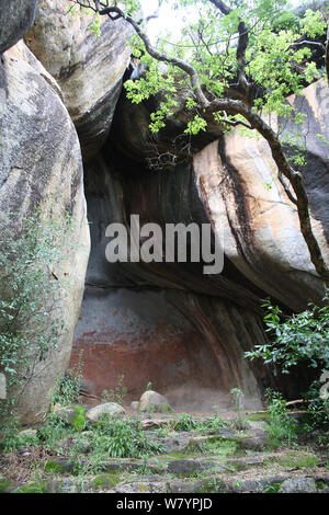 San peintures sur roche, illustrant divers mammifères africains y compris des girafes, des zèbres et des antilopes. Matobo Hills, Zimbabwe. Janvier 2011. Banque D'Images