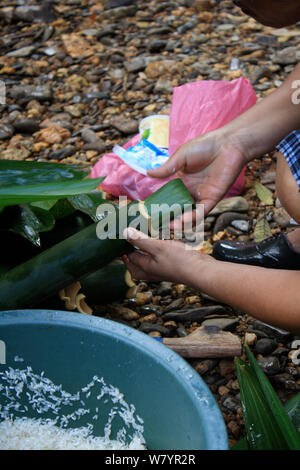 Woman wrapping riz en bambou pour la cuisson, l'ouest de Kalimantan, la partie indonésienne de Bornéo. Juin 2010. Banque D'Images