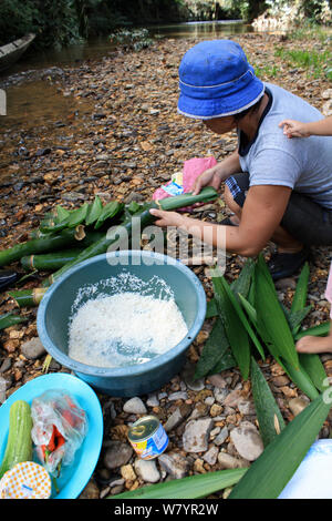 Woman wrapping riz en bambou pour la cuisson, l'ouest de Kalimantan, la partie indonésienne de Bornéo. Juin 2010. Banque D'Images