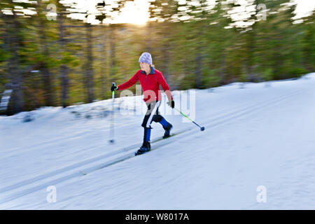 La fondeuse sur pistes de ski Trail, près de Mount Bachelor. L'Oregon, USA. Janvier 2015. Parution du modèle. Banque D'Images