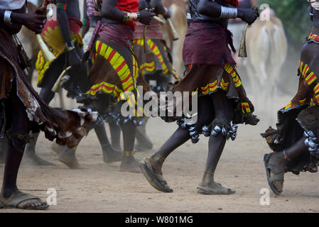 Les femmes à danser à l'sautant des taureaux Hamer cérémonie. Cette cérémonie Hamer est un un droit de passage à l'âge adulte pour Hamer les garçons. Au cours de la cérémonie les jeunes femmes de la famille des garçons mendier pour être fouetté. Le plus profondément leurs cicatrices, plus l'amour ils pour leur garçon. L'Éthiopie, Novembre 2014 Banque D'Images