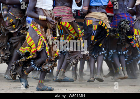 Les femmes à danser à l'sautant des taureaux Hamer cérémonie. Cette cérémonie Hamer est un un droit de passage à l'âge adulte pour Hamer les garçons. Au cours de la cérémonie les jeunes femmes de la famille des garçons mendier pour être fouetté. Le plus profondément leurs cicatrices, plus l'amour ils pour leur garçon. L'Éthiopie, Novembre 2014 Banque D'Images