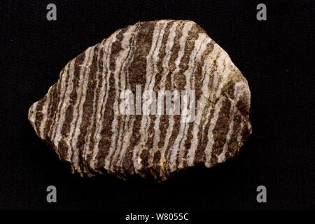 Gneiss folié, roche métamorphique, Maryland, USA. Banque D'Images