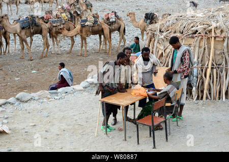 Tôt le matin à Ahmed Ela, les hommes avec une caravane de chameaux Dromadaire (Camelus dromedarius) en attente d'affectation. Lac Assale, dépression Danakil, région Afar, en Ethiopie, en mars 2015. Banque D'Images
