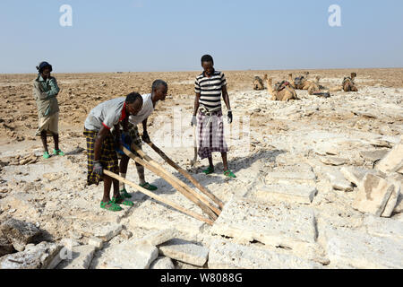 Loin des hommes au lac Assale sel minier. La dépression Danakil, région Afar, en Ethiopie, en mars 2015. Banque D'Images