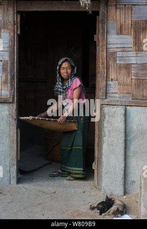 Riz à l'aide d'Yapyo Apatani Vanner fait de bambou, Tribu Apatani, Ziro Vallée, contreforts de l'Himalaya, de l'Arunachal Pradesh.Le nord-est de l'Inde, novembre 2014. Banque D'Images
