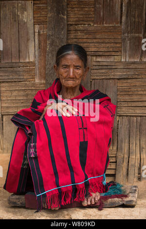 Chang Naga dans femme châle traditionnel, Tuensang district. Le Nagaland, dans le Nord Est de l'Inde, octobre 2014. Banque D'Images