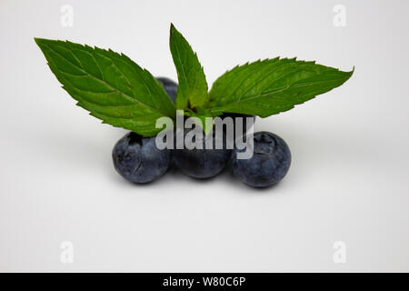 Les bleuets sur fond blanc. Les bleuets mûrs avec des feuilles vertes avec copie espace pour le texte. Les bleuets sur fond blanc. CopyspaceBlueberrie Banque D'Images