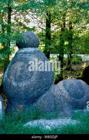 Ammonite pétrifiée, qui ressemble à un étranger résident, dans le contexte de la forêt Banque D'Images