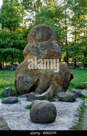 Ammonite pétrifiée, qui ressemble à un étranger résident, dans le contexte de la forêt Banque D'Images