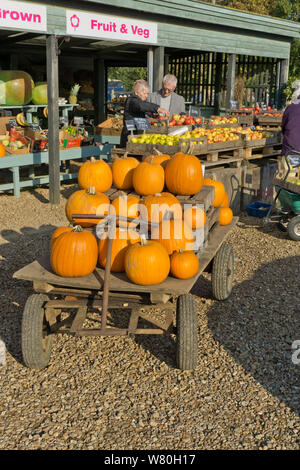 Un tas de citrouilles sur un panier en bois conduit à Orchards Farm Shop, partie d'un petit complexe de boutiques dans le village de Thornham, Norfolk, UK Banque D'Images