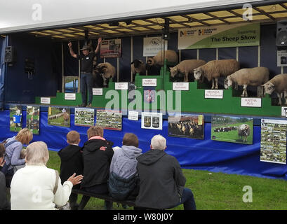 Wigtown et horticoles poultry show 2019 Banque D'Images