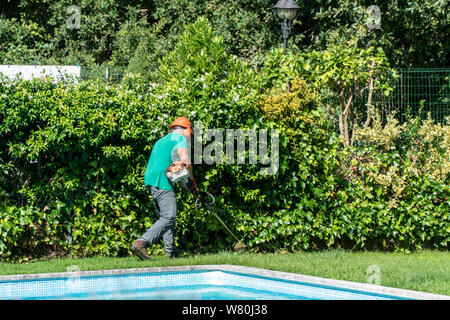 Un homme équipé d'une débroussailleuse travaille sur l'avant cour avec piscine. Concept d'entretien de jardin Banque D'Images