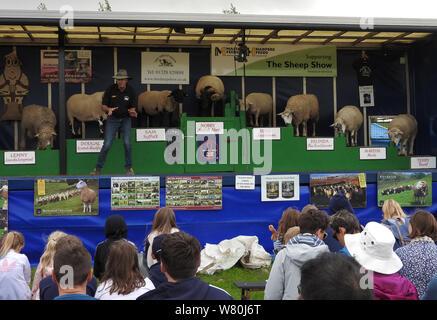 Wigtown et horticoles poultry show 2019 Banque D'Images