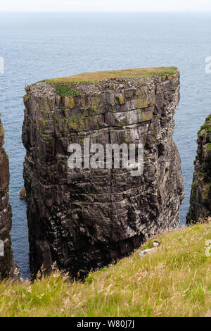 La grande pile sur Handa Island au large de la côte ouest de l'Ecosse. Banque D'Images