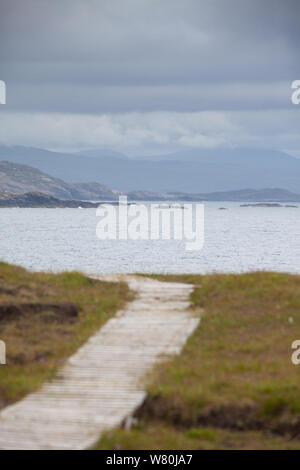 Une passerelle en bois sur l'île de Handa Sutherland en Écosse Banque D'Images