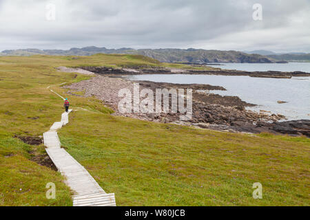 Une personne qui marche sur les sentiers en bois sur l'île de Handa Sutherland en Écosse. Banque D'Images