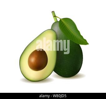 L'avocat, l'illustration détaillée réaliste isolé sur fond blanc avec les moitiés et ensemble d'avocat. Vector, 3d illustration Illustration de Vecteur