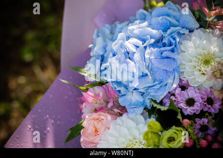 Beau bouquet de fleurs en fleurs d'hortensia, roses, eustomia, mattiola, fleurs en bleu, rose et blanc. riche bouquet avec blue Banque D'Images