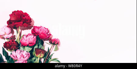 Les Pivoines rose et les feuilles avec disque ombre sur fond pastel, copiez l'espace. Modèle très tendance de l'été, concept. Vue d'en haut Banque D'Images