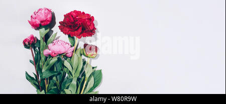 Les Pivoines rose et les feuilles avec disque ombre sur fond pastel, copiez l'espace. Modèle très tendance de l'été, concept. Vue d'en haut Banque D'Images