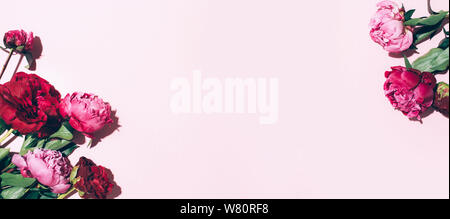 Les Pivoines rose et les feuilles avec disque ombre sur fond pastel, copiez l'espace. Modèle très tendance de l'été, concept. Vue d'en haut Banque D'Images
