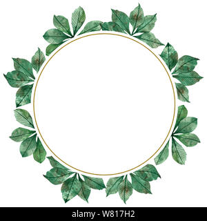 Saison d'automne aquarelle châssis circulaire : feuilles vertes, les branches d'arbres d'érable isolé sur fond blanc. Banque D'Images