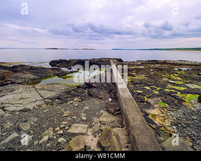 Plage pittoresque avec des pierres et de l'herbe à la côte de Portrush, l'été sur le temps monirng ,Irlande du Nord Banque D'Images