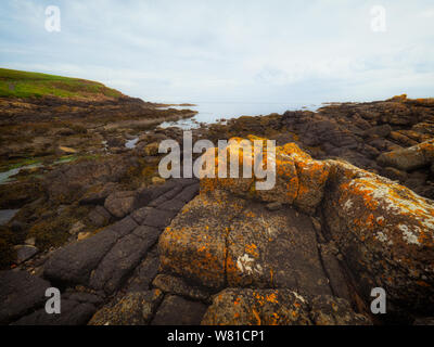Plage pittoresque avec des pierres et de l'herbe à la côte de Portrush, l'été sur le temps monirng ,Irlande du Nord Banque D'Images