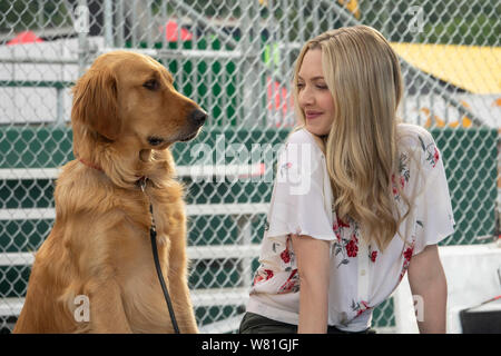 DATE DE SORTIE : 9 août 2019 TITRE : l'Art de la course sous la pluie STUDIO : 20th Century Fox Réalisateur : Simon Curtis PLOT : un chien nommé Enzo rappelle les leçons de vie qu'il a appris de son propriétaire la course automobile, Denny. Avec : Amanda Seyfried comme Eve, et Enzo. (Crédit Image : © Twentieth Century Fox/photos) Banque D'Images