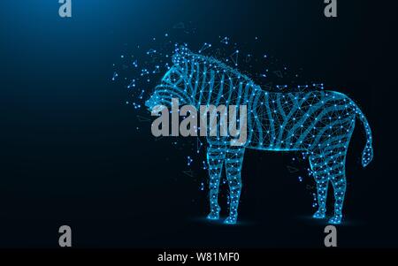 Basse design poly Zebra animal d'Afrique, de l'image géométrique abstraite, zoo d'illustration vectorielle polygonal mesh wireframe faites de points et de lignes sombres sur bl Illustration de Vecteur