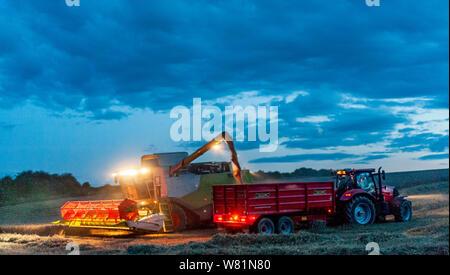 Grantham, Lincolnshire, Royaume-Uni. 7 août 2019. Une pause dans le temps et d'un sèche-linge conditions, après plusieurs jours de pluie, permet aux agriculteurs de travailler tard dans la nuit pour rattraper la combinaison et la récolte avant qu'un autre sort humide de prévision. Crédit : Matt Limb OBE/Alamy Live News Banque D'Images