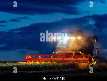 Grantham, Lincolnshire, Royaume-Uni. 7 août 2019. Une pause dans le temps et d'un sèche-linge conditions, après plusieurs jours de pluie, permet aux agriculteurs de travailler tard dans la nuit pour rattraper la combinaison et la récolte avant qu'un autre sort humide de prévision. Crédit : Matt Limb OBE/Alamy Live News Banque D'Images