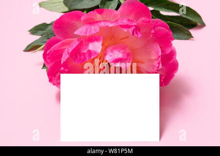 Carte minimaliste avec fleur pivoine la maquette. Carte isolée. Close-up. Banque D'Images