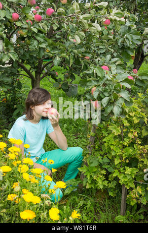 Girlie inhale l'odeur d'une pomme, assis dans le jardin. Août Banque D'Images