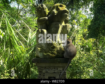 Sur la statue de singe macaque à la forêt des singes d'Ubud, Bali Banque D'Images