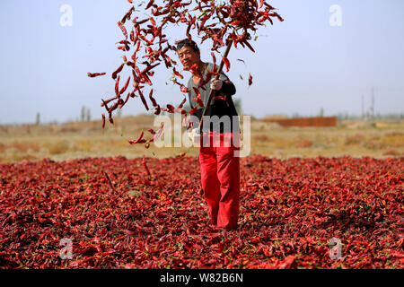 --FILE--Un fermier chinois winnows piments d'être séchées au soleil sur un terrain en Kudailike village, Bohu county, Bayingol préfecture autonome mongole, Banque D'Images