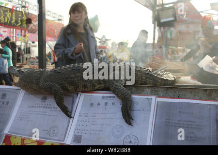 Un crocodile est exposée au food vente de viande de crocodile grillé lors d'une foire du temple au cours de la Nouvelle Année lunaire chinoise, également connu sous le nom de Spring Fe Banque D'Images